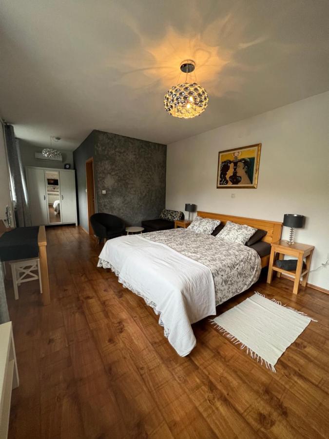 Apartments And Rooms Kristina Dreznik Grad ภายนอก รูปภาพ